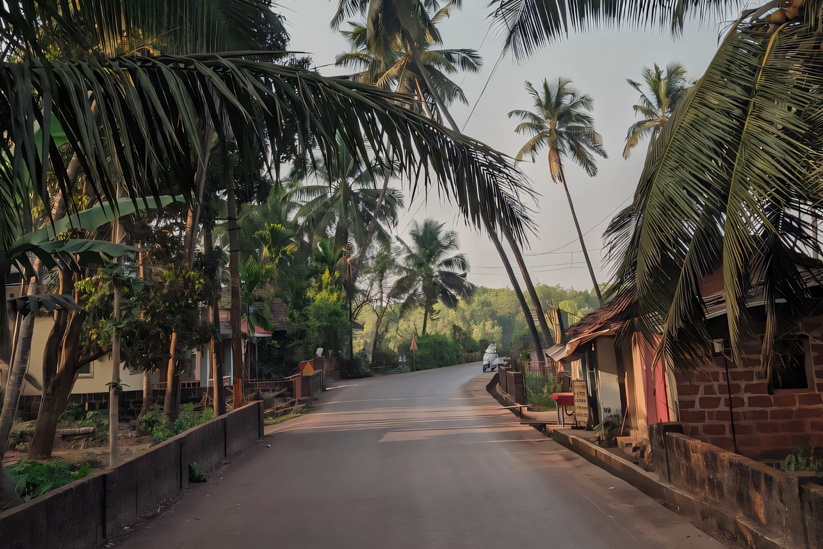 Goa travel view